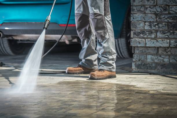 Best Sidewalk and Walkway Cleaning  in Windom, MN