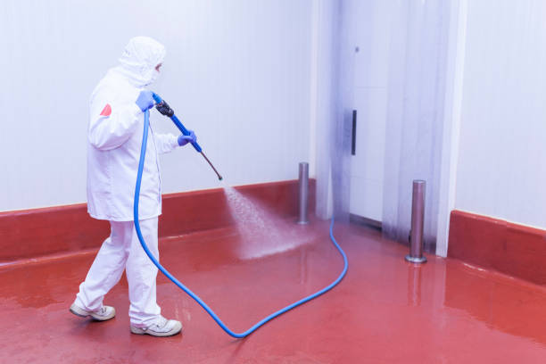 Reliable Windom, MN Pressure Washing Services Solutions